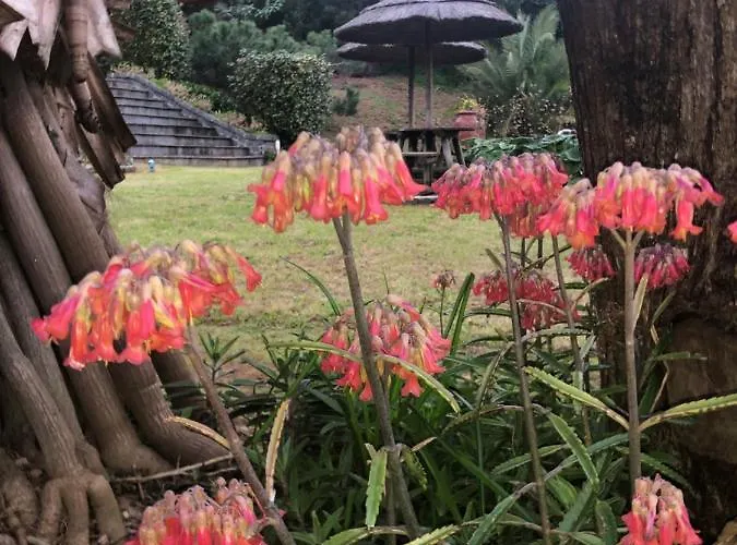 펜션 Quinta Da Bela Vista *