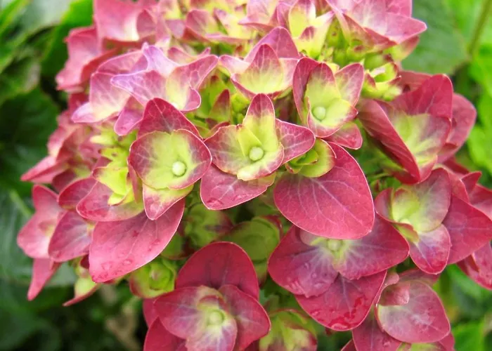 Quinta Da Bela Vista