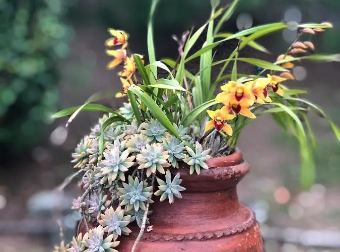 Quinta Da Bela Vista