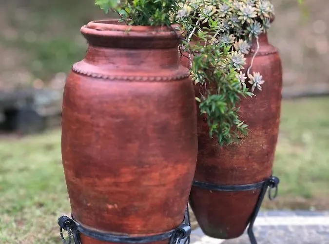 Quinta Da Bela Vista Ponta Delgada