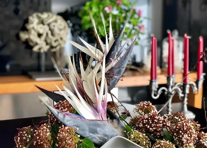 Quinta Da Bela Vista Ponta Delgada