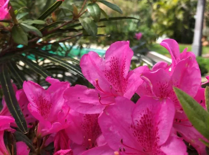 Quinta Da Bela Vista