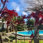 Quinta Da Bela Vista Ponta Delgada (Sao Miguel)