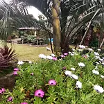 Quinta Da Bela Vista * Ponta Delgada (Sao Miguel)
