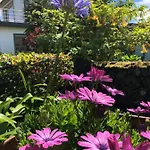 Quinta Da Bela Vista Holiday home