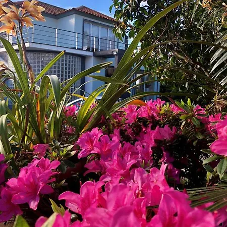 Quinta Da Bela Vista 度假居