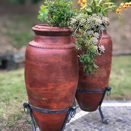 Quinta Da Bela Vista Ponta Delgada