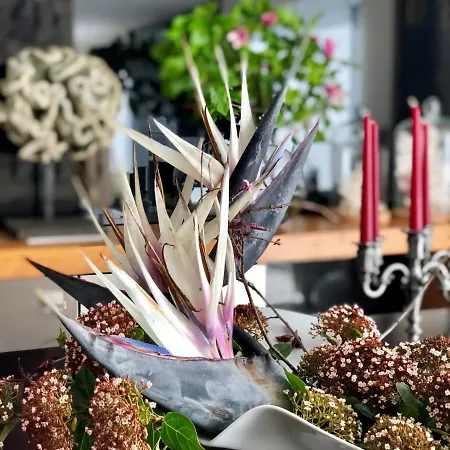 Quinta Da Bela Vista Ponta Delgada