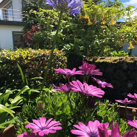 Quinta Da Bela Vista Holiday home
