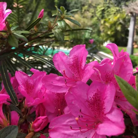 Quinta Da Bela Vista