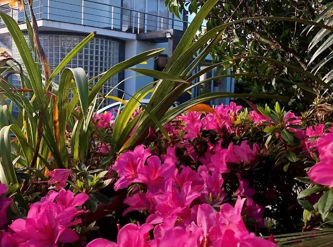 Quinta Da Bela Vista Holiday home