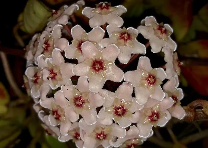 Holiday home Quinta Da Bela Vista