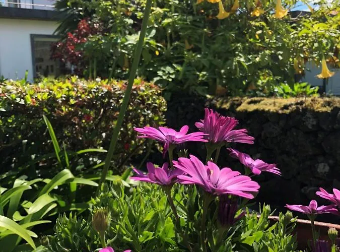 Quinta Da Bela Vista Holiday home